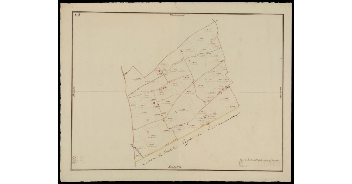 [Catasto di Montevettolini pianta VII]