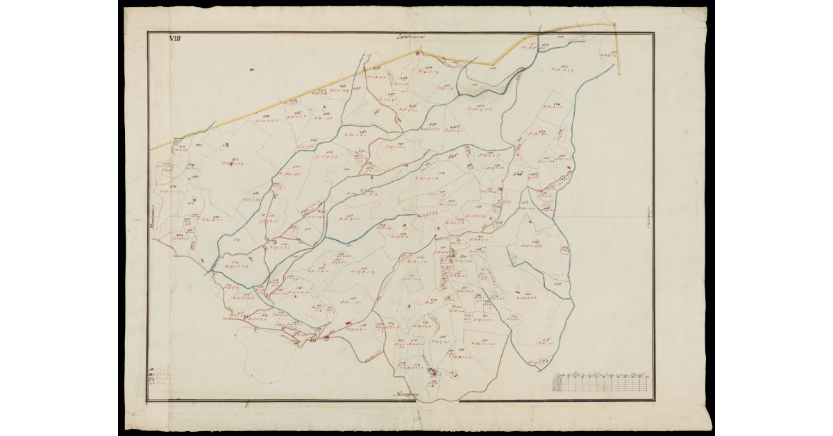 [Catasto di Montevettolini pianta VIII]