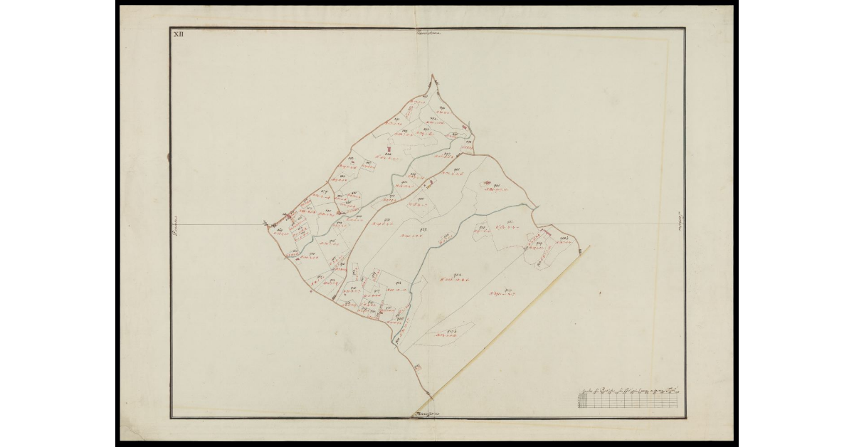 [Catasto di Montevettolini pianta XII]