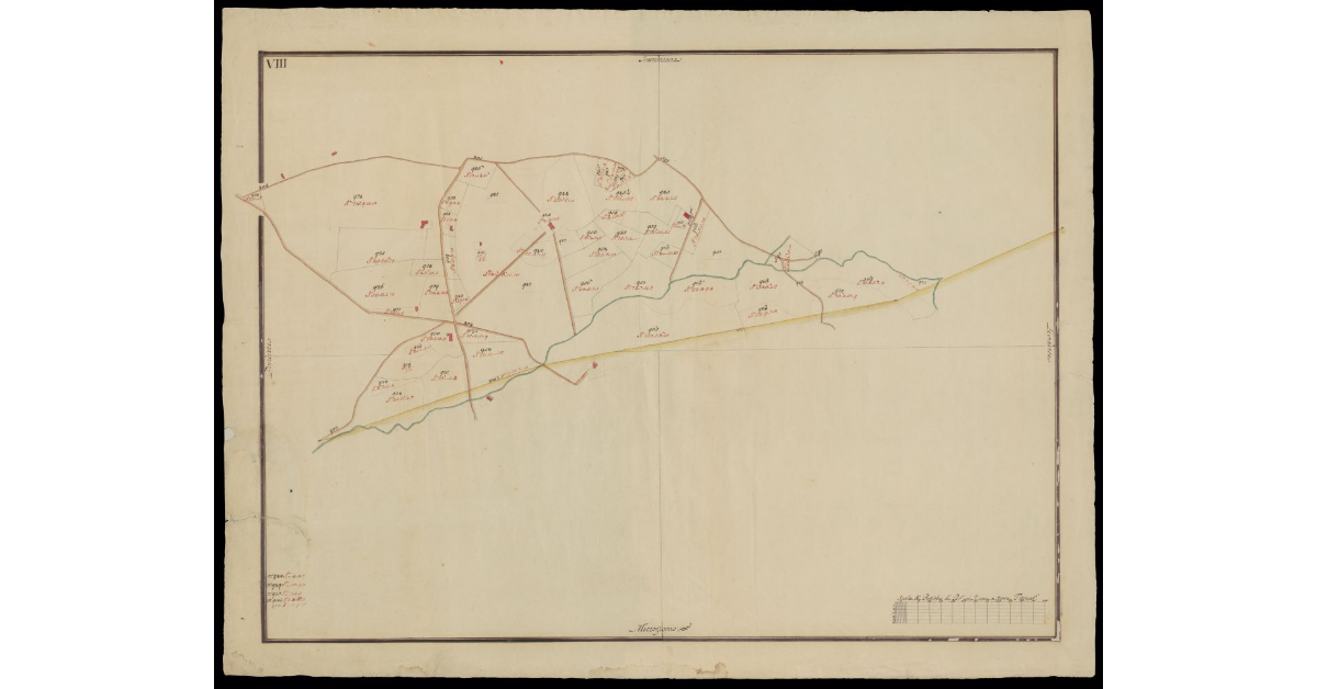 [Catasto di Monsummano pianta VIII
