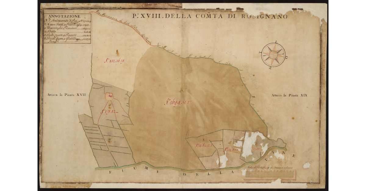 P[ianta] XVIII della Comunità di Rosignano