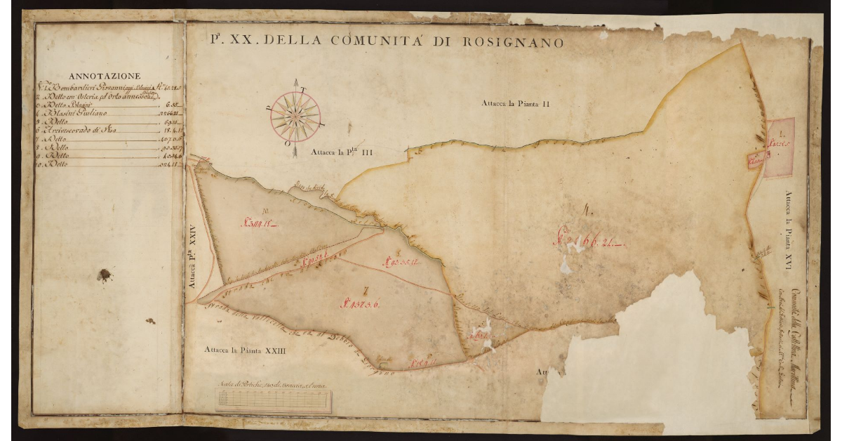 P[ianta] XX della Comunità di Rosignano