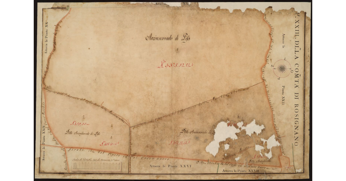 P[ianta] XXIII della Comunità di Rosignano