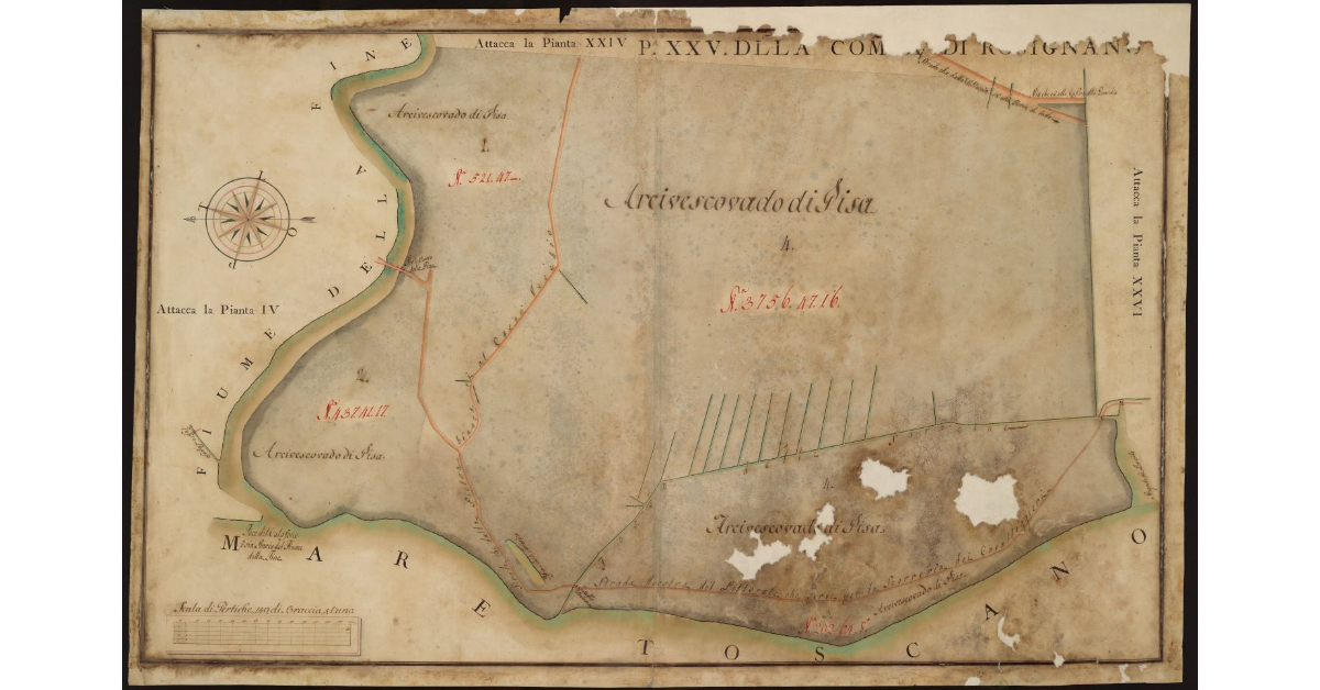 P[ianta] XXV della Comunità di Rosignano