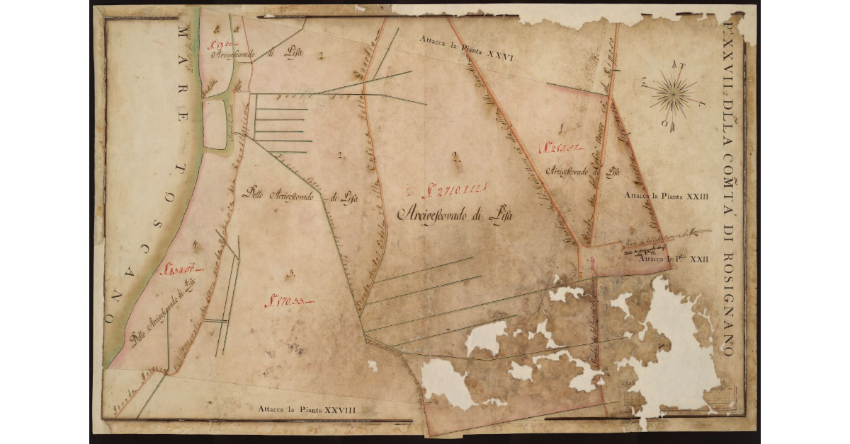 P[ianta] XXVII della Comunità di Rosignano