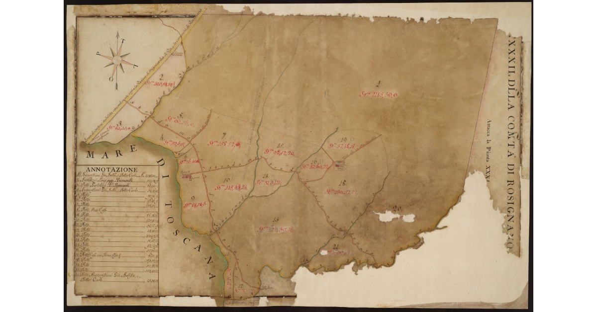 P[ianta] XXXII della Comunità di Rosignano