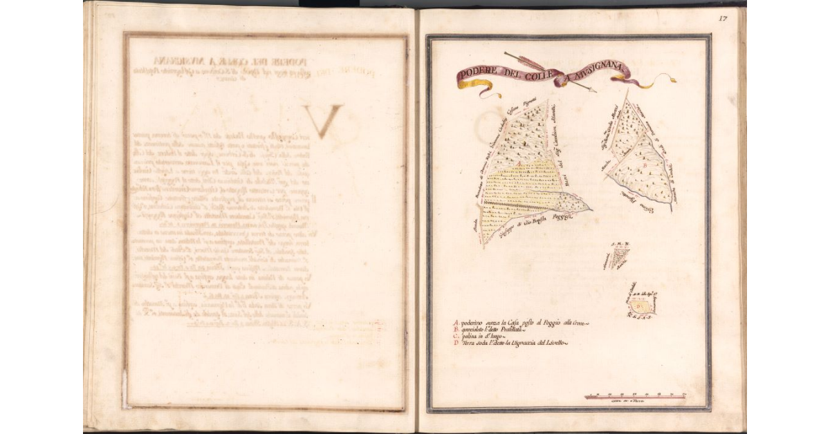 Podere del Colle a Musignana