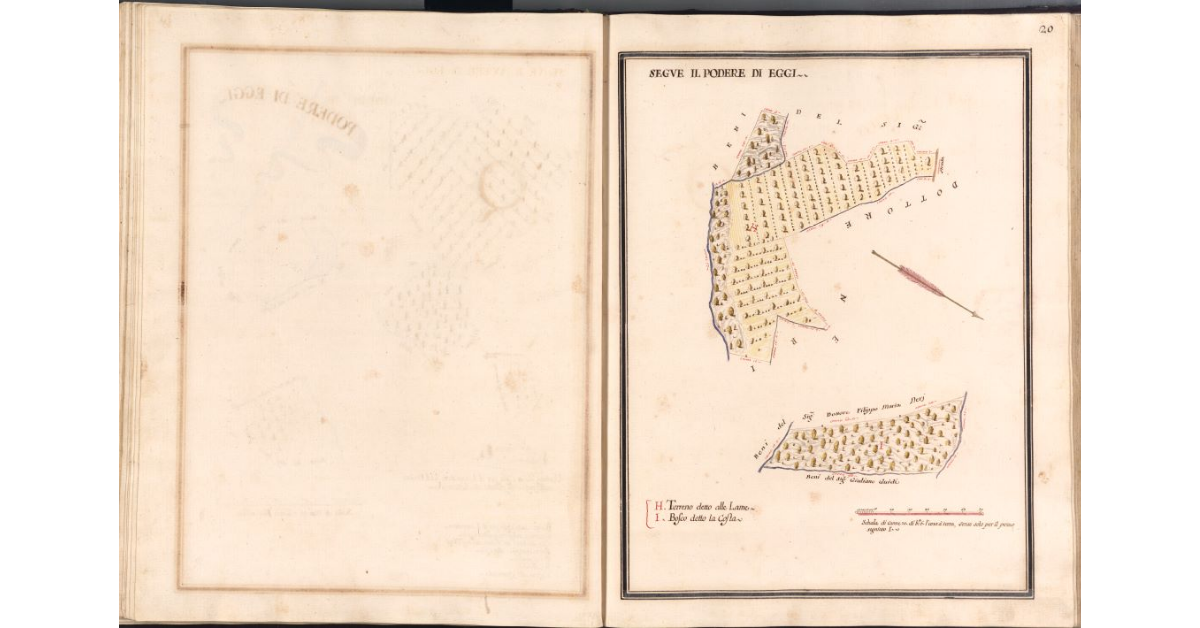 [Pianta di due appezzamenti di terreno appartenenti al podere di Eggi]