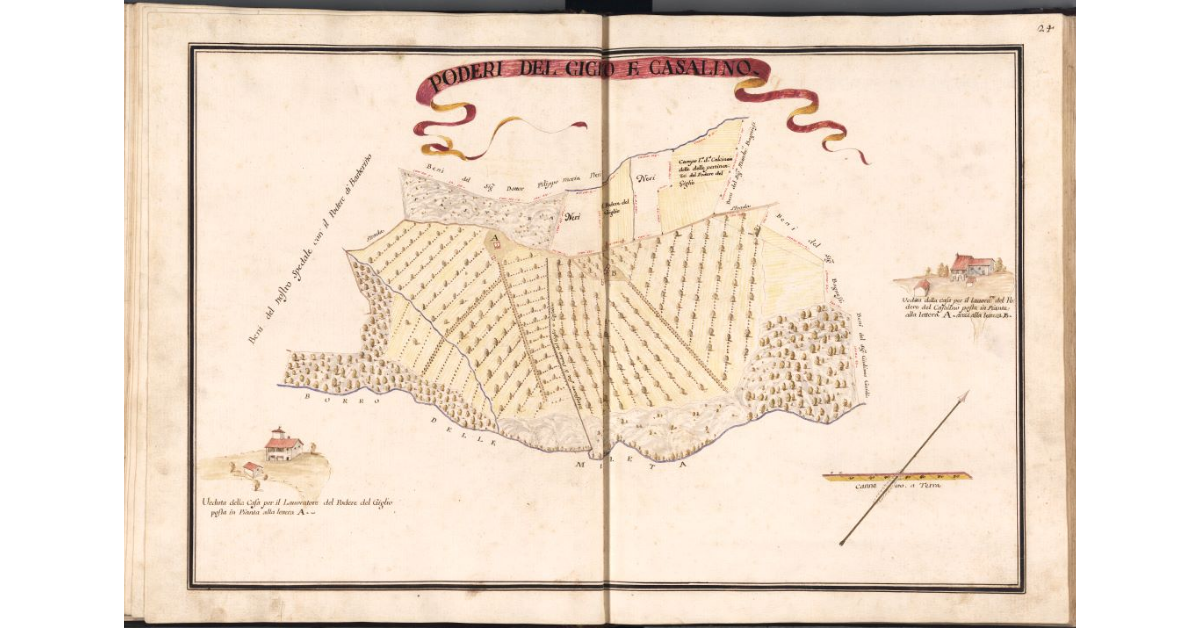 Poderi del Giglio e Casalino