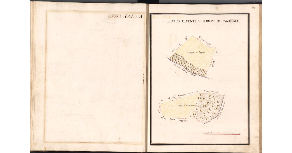 [Pianta di alcuni terreni attenenti al podere di Casalino]