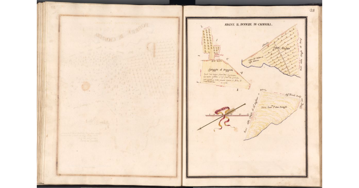 [Pianta di alcuni appezzamenti di terreno appartenenti al podere di Cioffoli]