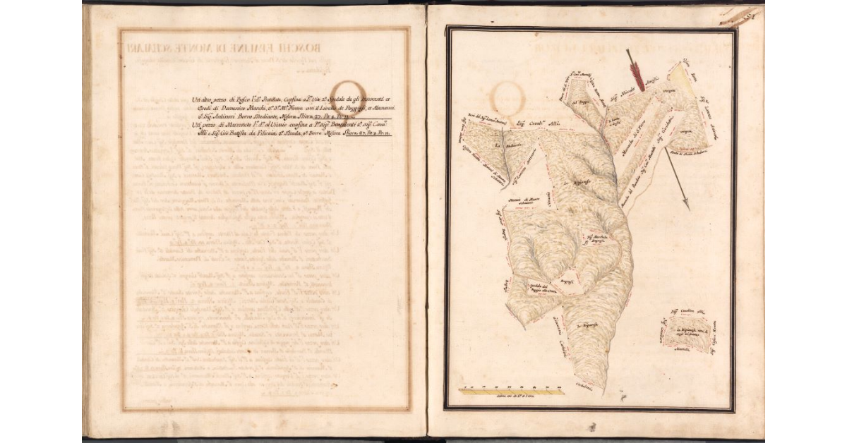 [Pianta dei boschi di Monte Scalari di pertinenza del podere del Colle]