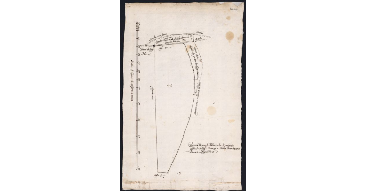 [Pianta del bosco di palina posseduto dal sig. Strozzi]