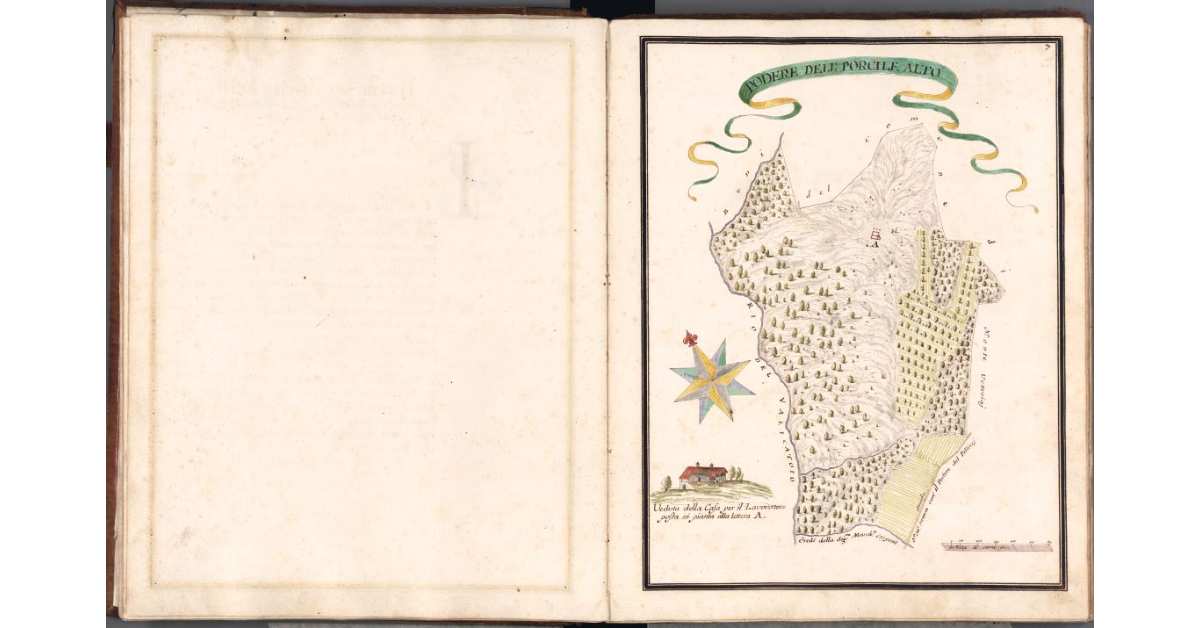 Podere del Porcile alto