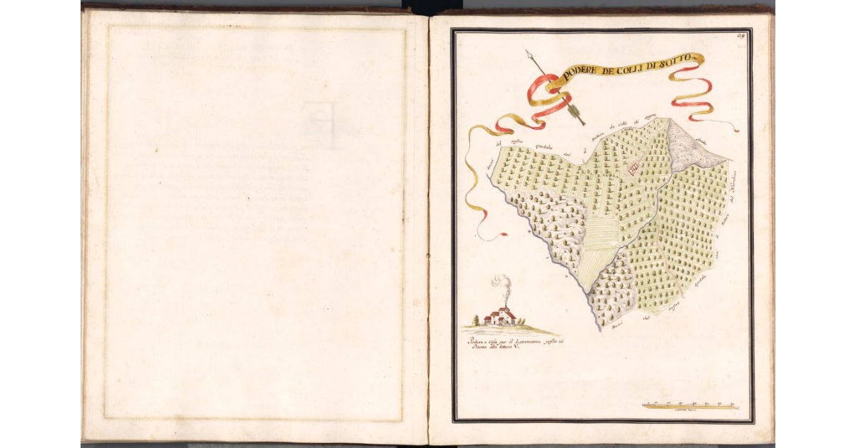 Podere de Colli di Sotto