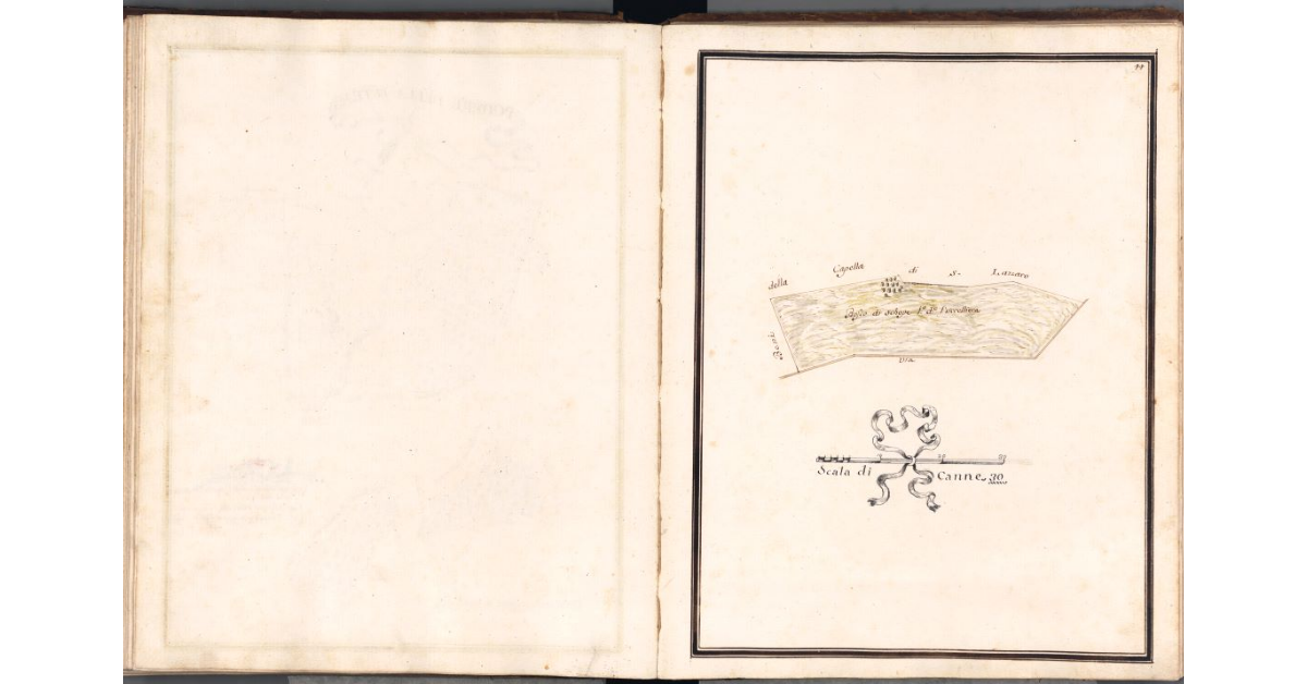 [Pianta del bosco di pertinenza del podere della Petraia]