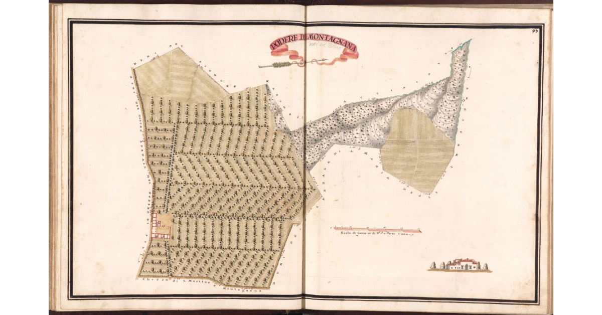 Podere di Montagnana