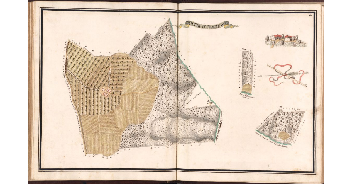 Poderi d'Olmo e Sole