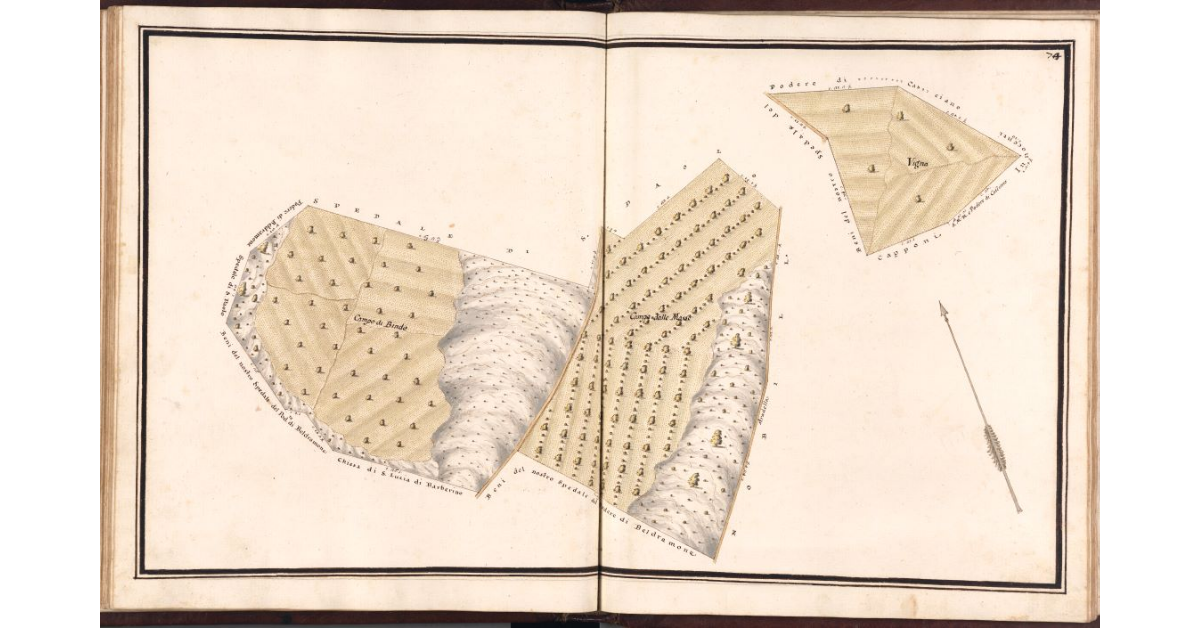 [Pianta di alcuni terreni di pertinenza del podere di Citerna]