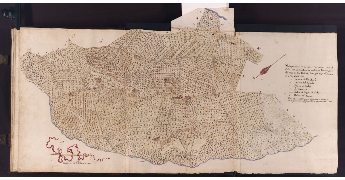 Poderi della Chiesa, del Ferrale, de Golpi, del Poderuzzo, del Podere di Poggio di Colle e del Pianale