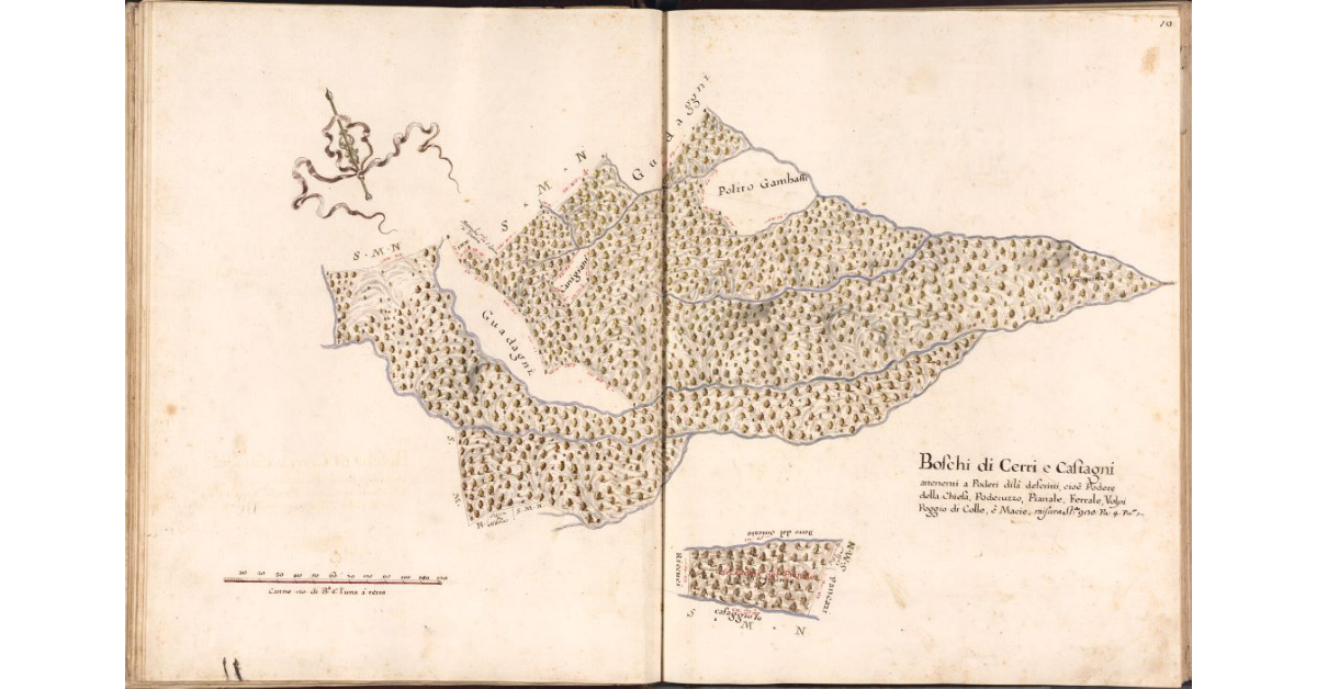 Boschi di cerri e castagni attenenti a Poderi dilà descritti, cioè Podere della Chiesa, Poderuzzo, Pianale, Ferrale, Volpi, Poggio di Colle, e Macie, misura Stiora 930. Pa. 4. Pu. 1