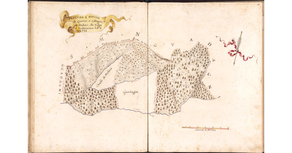 Pasture e boschi di querce e castagni de Poderi de Volpi e Poderuzzo, l.d. La Fratta