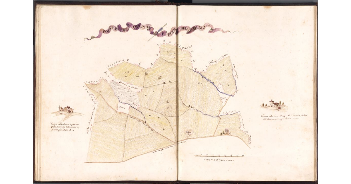 Podere della Quercia e Podere del Olmo