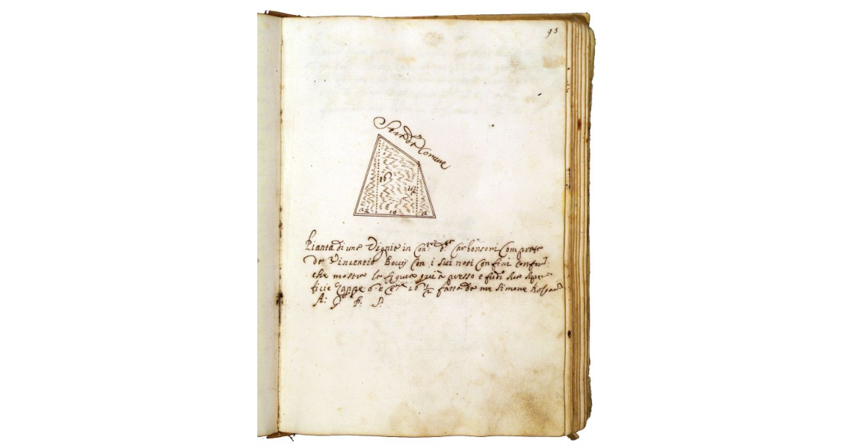 [Vigna in contrada detta Carbonsoni]