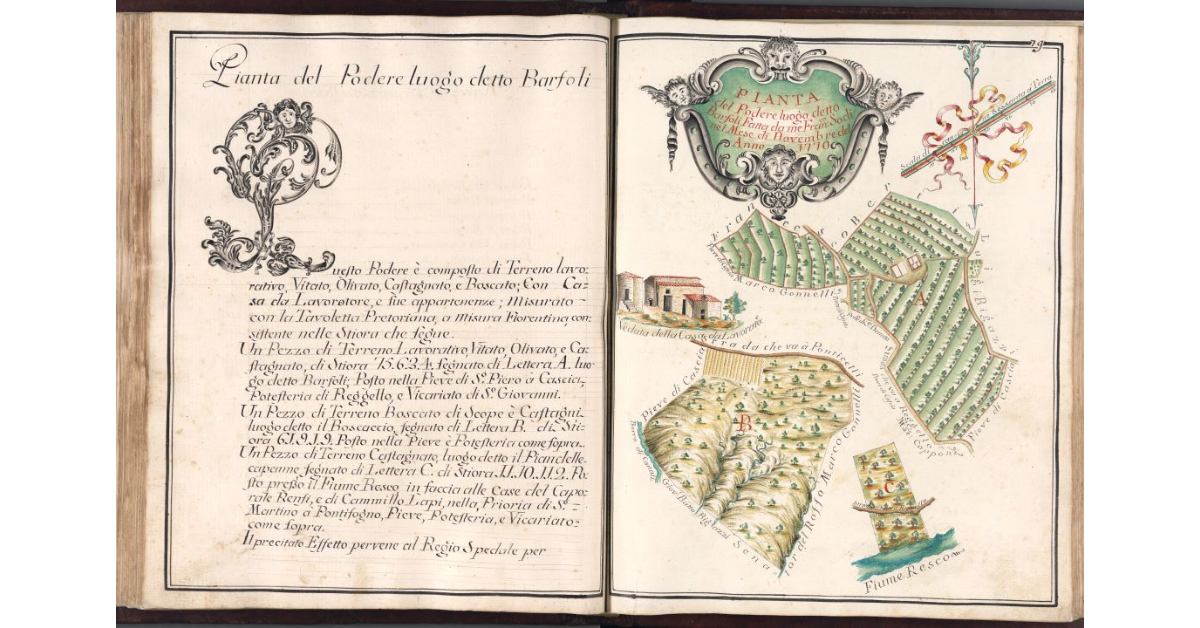 Pianta del Podere luogo detto Barfoli