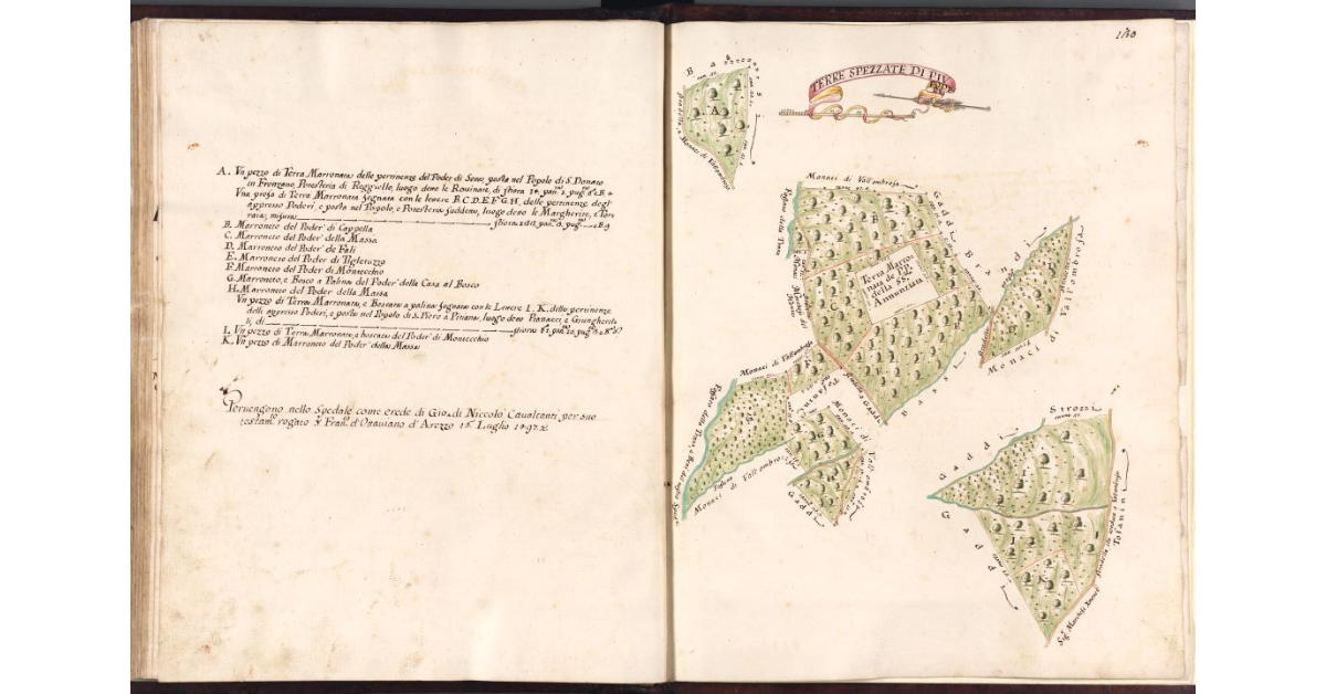 Terre spezzate di più poderi