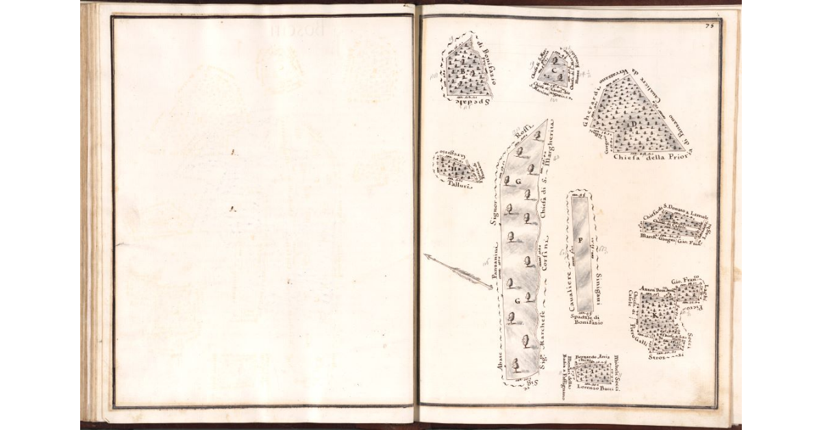 [Boschi della Fattoria di Panzano]