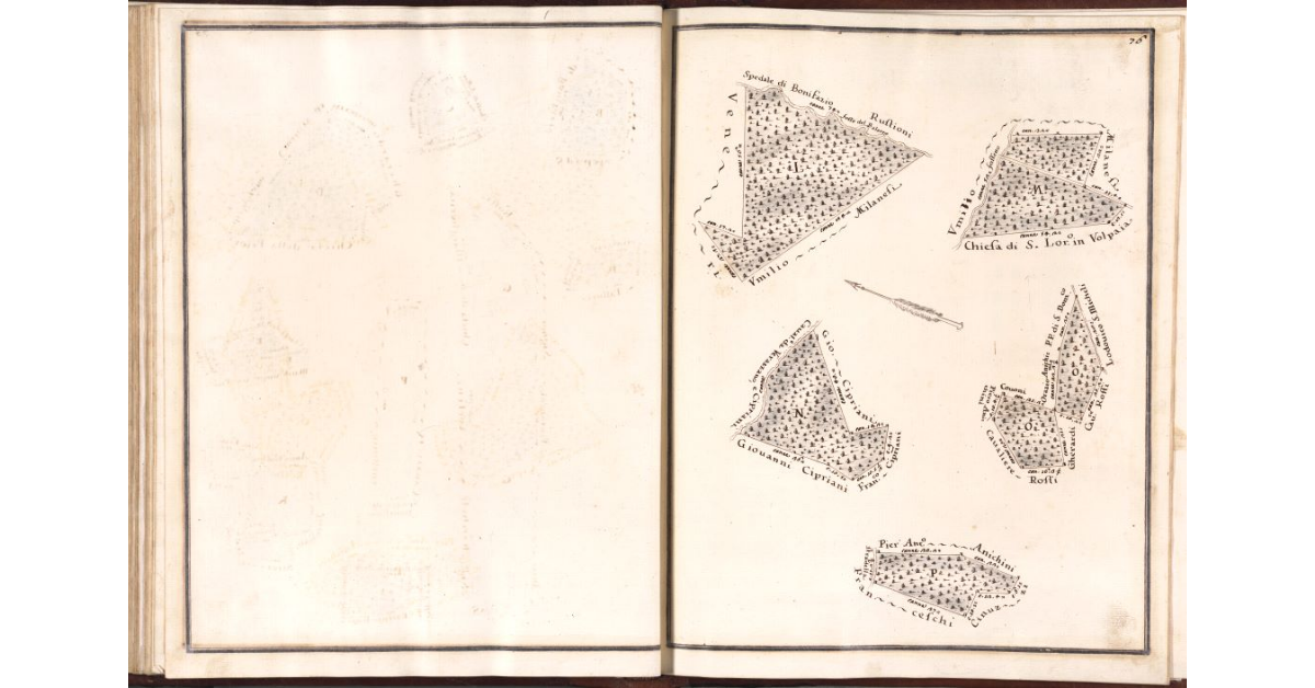 [Boschi della Fattoria di Panzano]