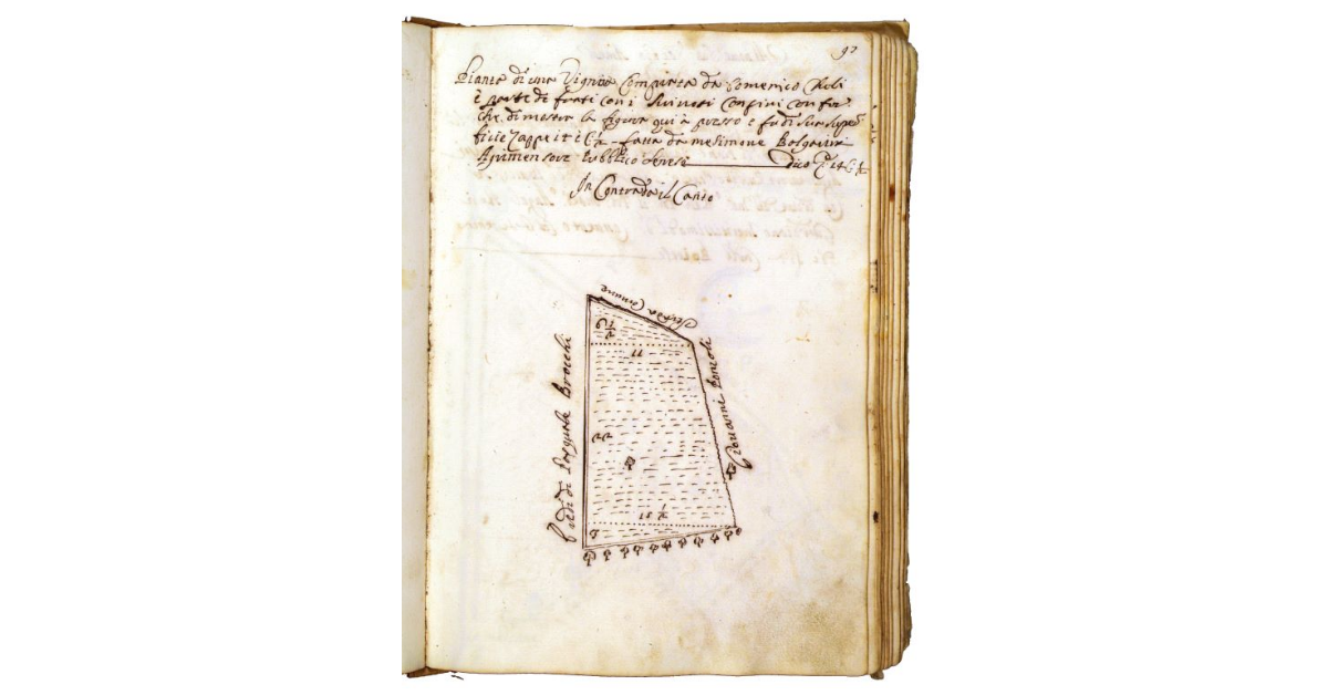 [Vigna in contrada il Canto]