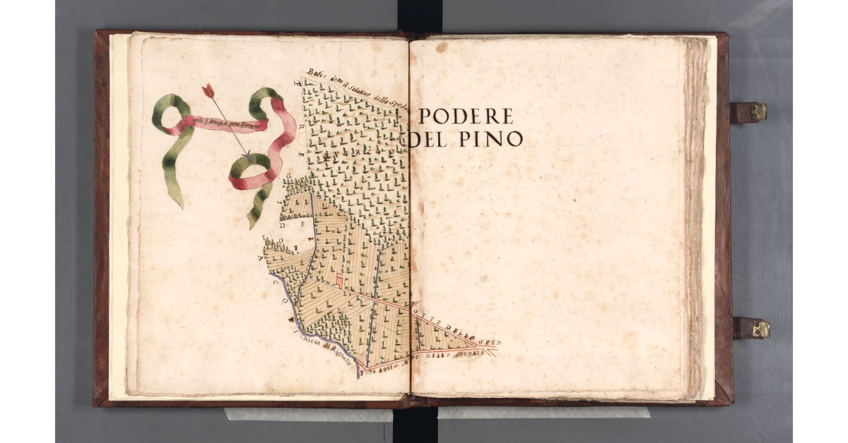 Podere del Pino