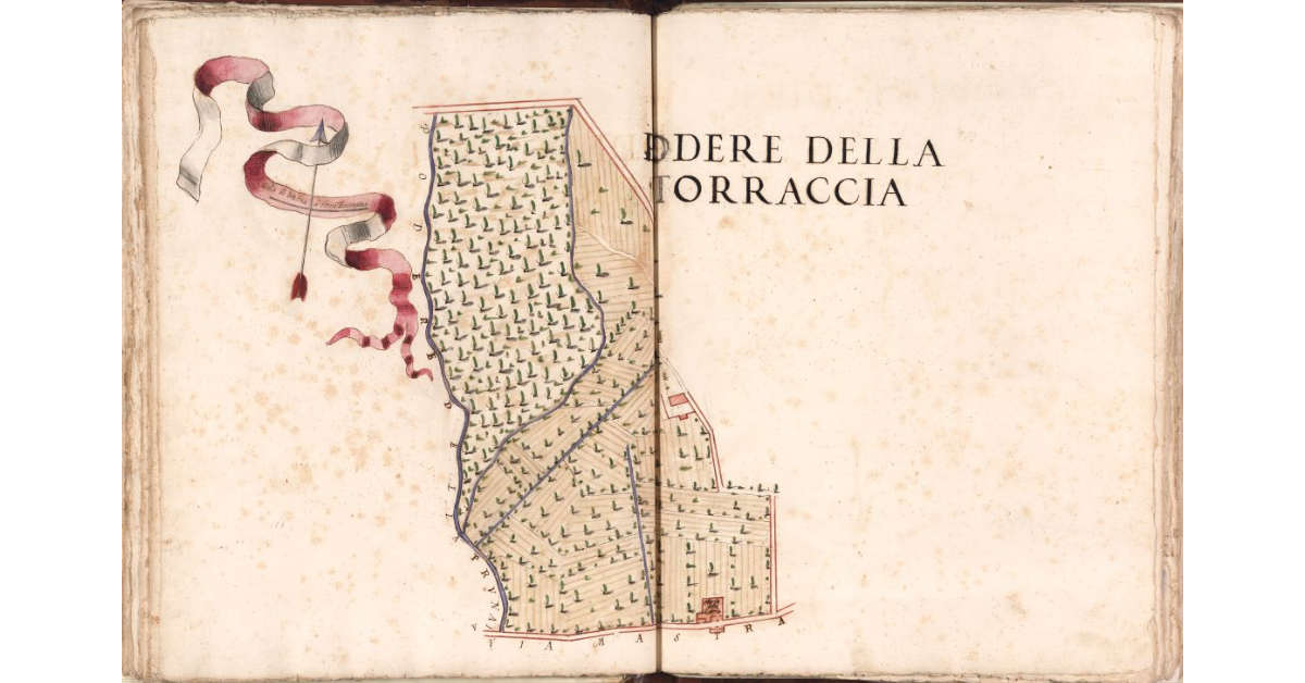 Podere della Torraccia
