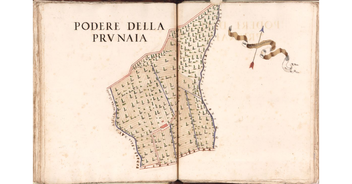 Podere della Prunaia