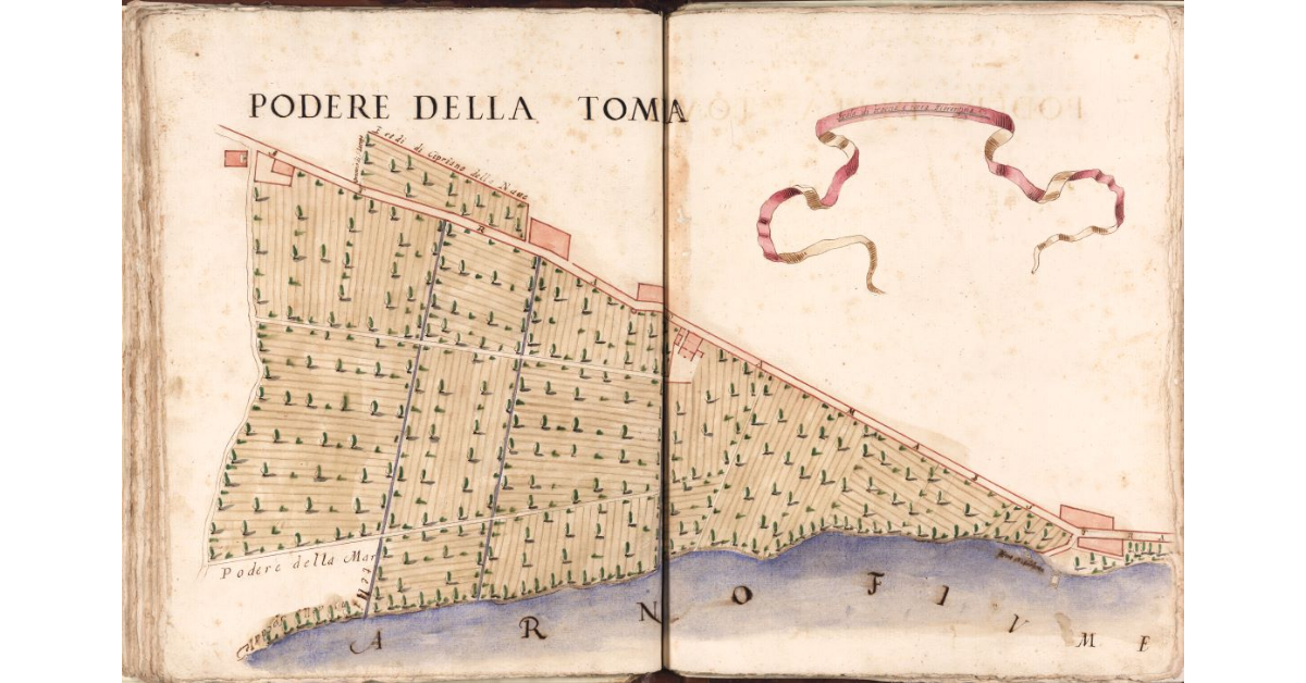 Podere della Toma