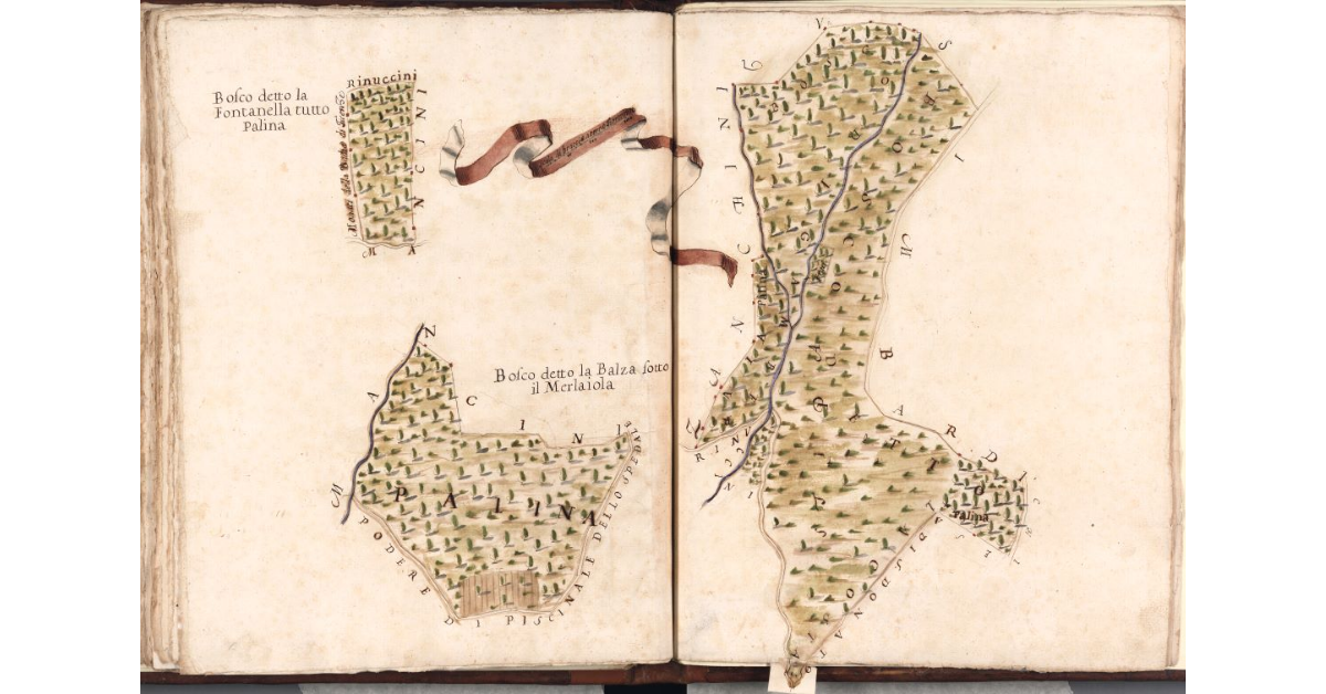 Boschi detti La Fontanella e La Balza sotto la Merlaiola