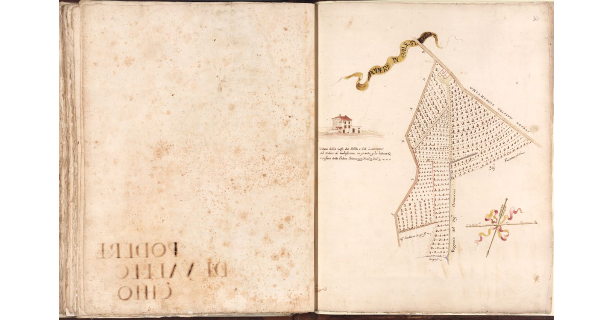 Podere di Galestruzzo