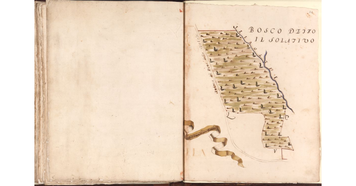 Bosco detto il Solativo