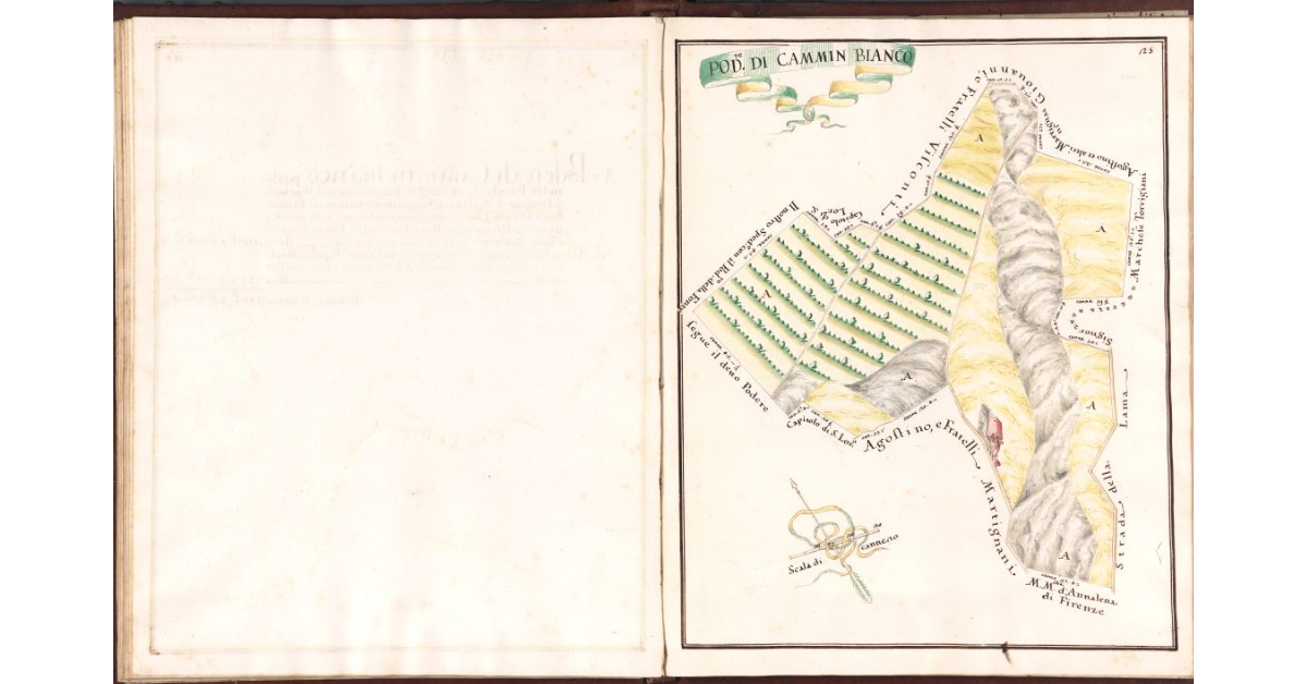 Pod.re di Cammin Bianco