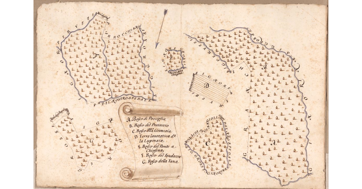[Boschi e terre lavorative dipendenti dal Podere della Viottola posto nel Popolo di S. Maria a Morello Potesteria di Calenzano]