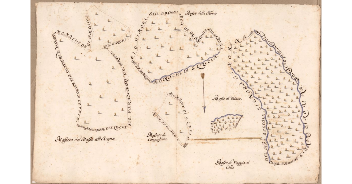 [Boschi e masseti dipendenti dal Podere della Viottola posto nel Popolo di S. Maria a Morello Potesteria di Calenzano]
