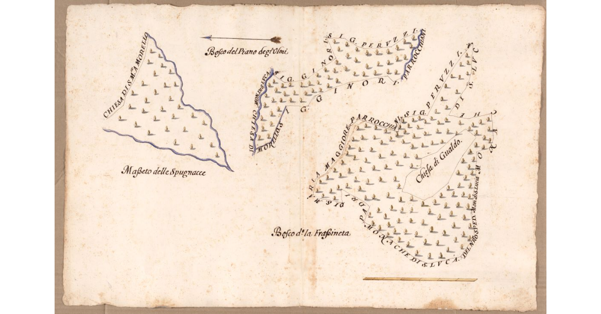 [Boschi e masseti dipendenti dal Podere di Borgo posto nel Popolo di S. Maria a Morello Potesteria di Calenzano]