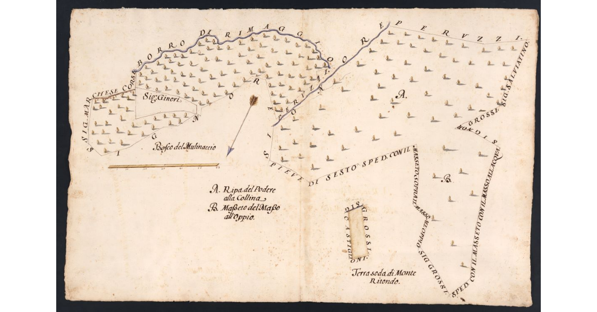 [Boschi e incolti dipendenti dal Podere della Collina posto nel Popolo di S. Maria a Morello Potesteria di Calenzano]