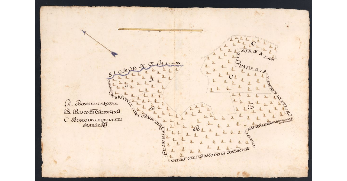 [Boschi dipendenti dal Podere dell’Acquaio posto nel Popolo di S. Romolo a Leccio Potesteria di Calenzano]