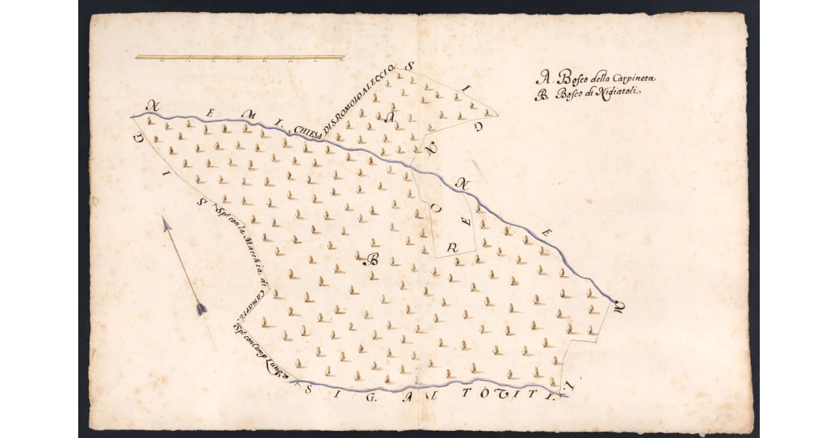 [Boschi dipendenti dal Podere dell’Acquaio posto nel Popolo di S. Romolo a Leccio Potesteria di Calenzano]