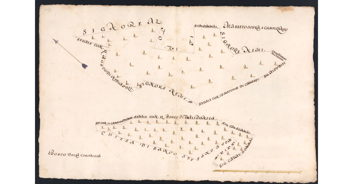 [Boschi e incolti dipendenti dal Podere dell’Acquaio posto nel Popolo di S. Romolo a Leccio Potesteria di Calenzano]