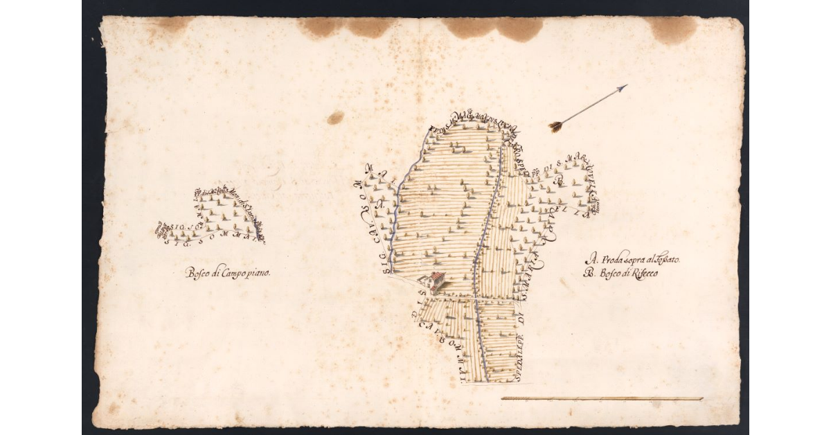 Podere da Rozzi posto nel Popolo di S. Romolo a Leccio Potesteria di Calenzano