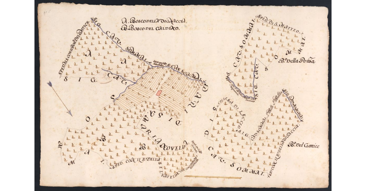 Podere del Caldino posto nel Popolo di S. Romolo a Leccio Potesteria di Calenzano